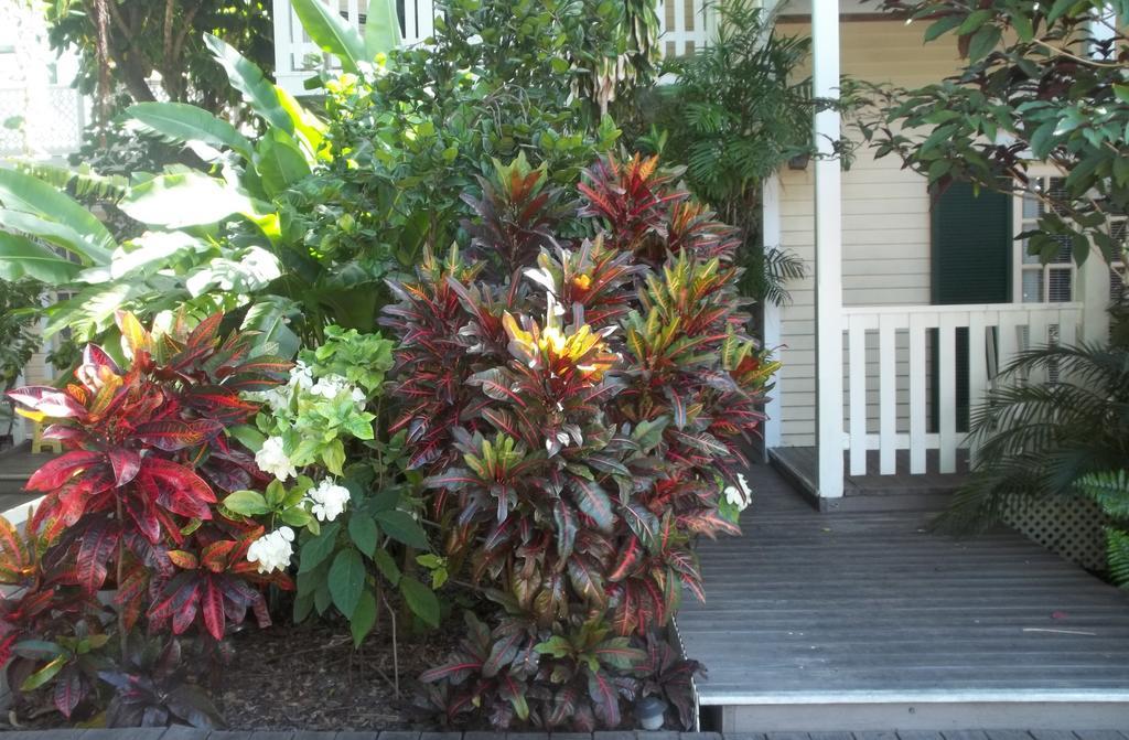 Duval House Bed and Breakfast Key West Exteriör bild